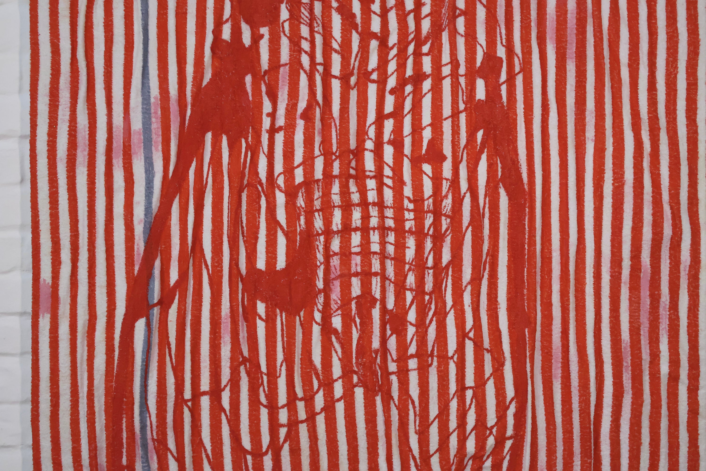 Kater D., Ziki in Rot, 2024