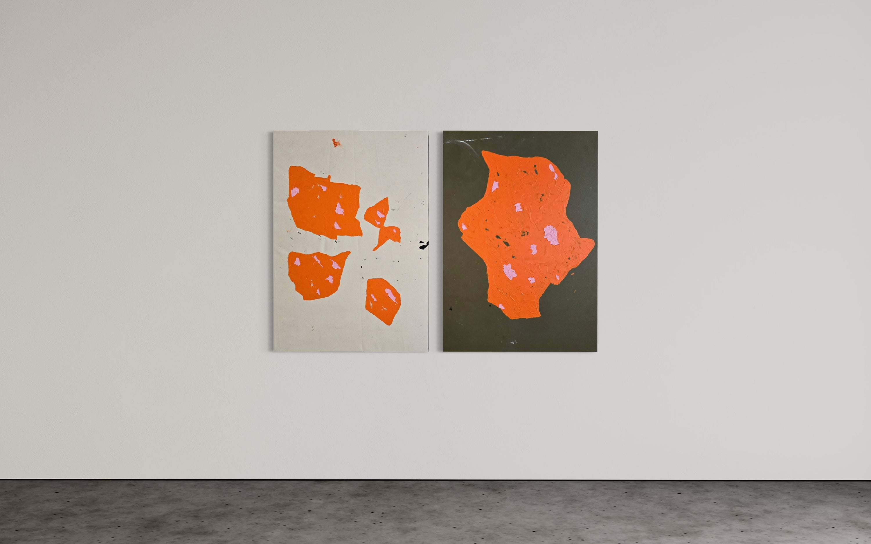 Kater D., Gespräche auf Mandarine, 2024