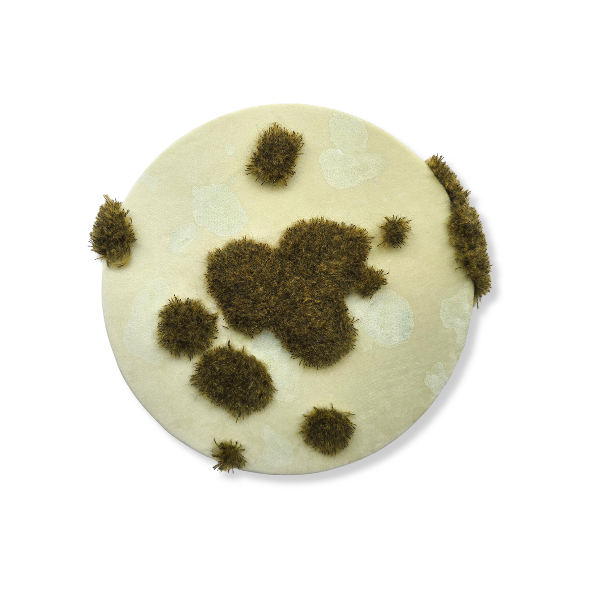 Kater D., Life on a Plate No. 2, 2025