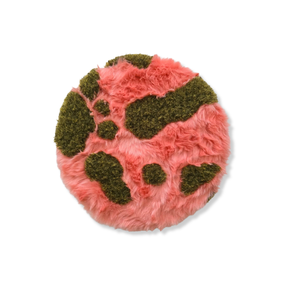 Kater D., Life on a Plate no.1, 2025
