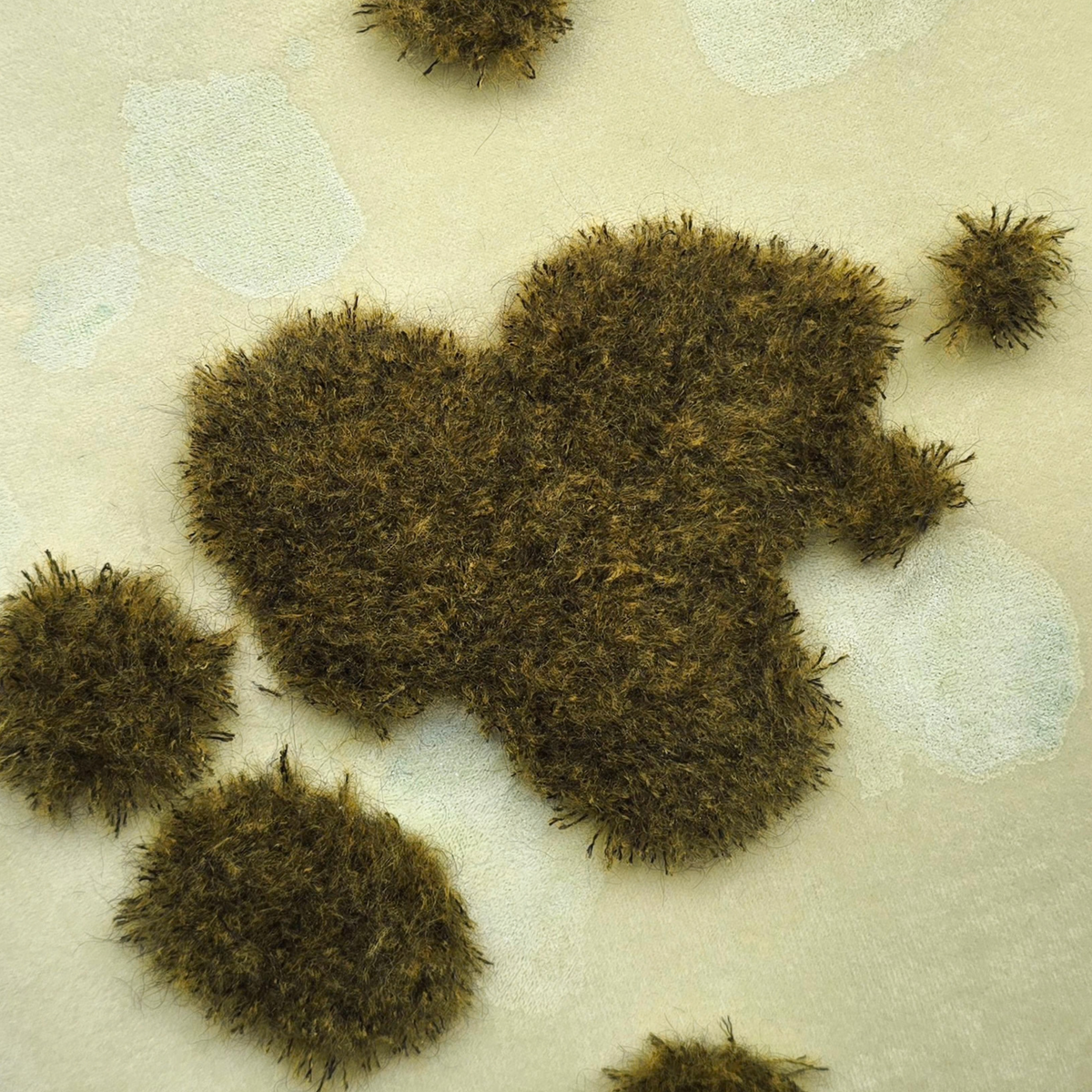 Kater D., Life on a Plate No. 2, 2025