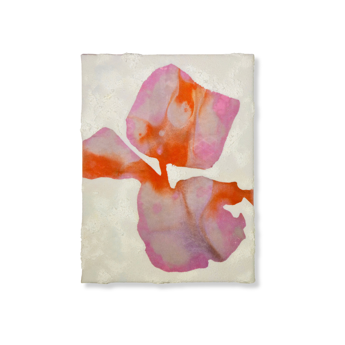 Kater D., Nobody knows no 2., 2026