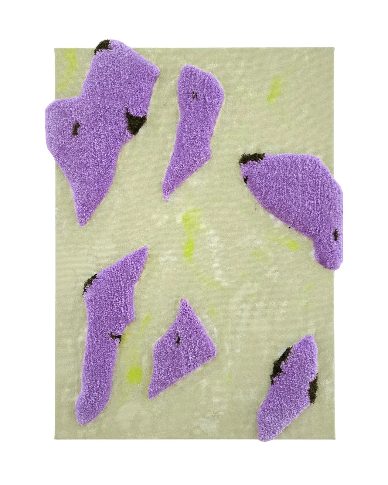 Kater D., Soft edge Nr. 3, 2024